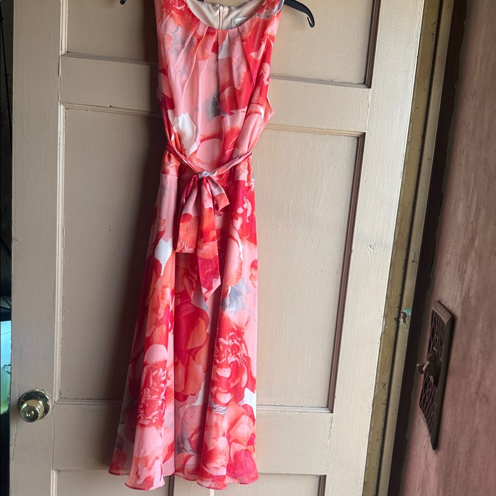 Floral Pink/ Red Sleeveless Dress